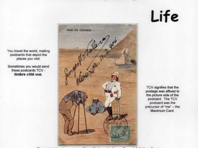 A MAXIMUM LIFE