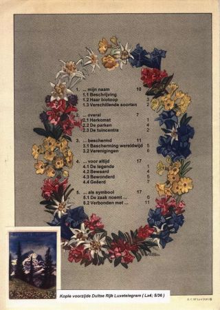 EDELWEISS - THE QUEEN OF ALPINE FLOWERS – sheet 2