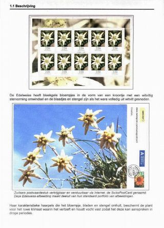 EDELWEISS - THE QUEEN OF ALPINE FLOWERS – sheet 4