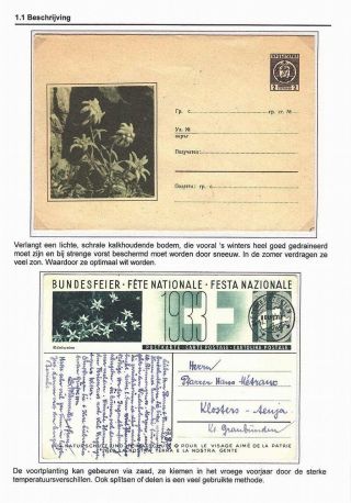 EDELWEISS - THE QUEEN OF ALPINE FLOWERS – sheet 6