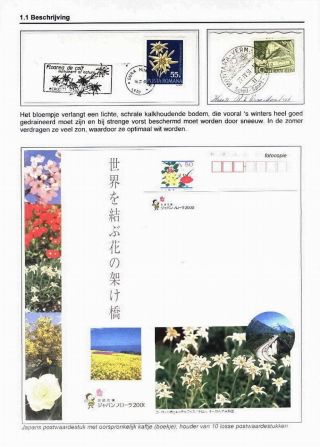 EDELWEISS - THE QUEEN OF ALPINE FLOWERS – sheet 7