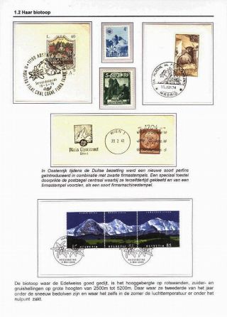EDELWEISS - THE QUEEN OF ALPINE FLOWERS – sheet 8