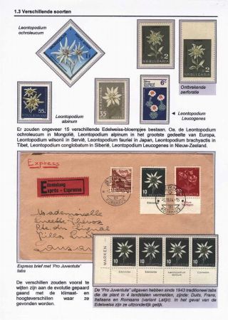 EDELWEISS - THE QUEEN OF ALPINE FLOWERS – sheet 10