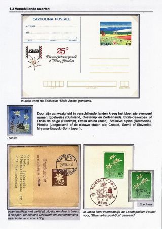 EDELWEISS - THE QUEEN OF ALPINE FLOWERS – sheet 11