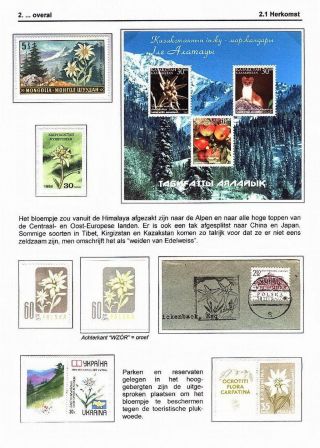 EDELWEISS - THE QUEEN OF ALPINE FLOWERS – sheet 12