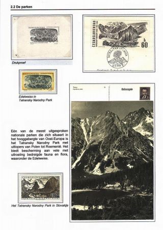 EDELWEISS - THE QUEEN OF ALPINE FLOWERS – sheet 13