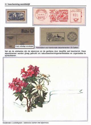 EDELWEISS - KÖNIGIN DER ALPENBLUMEN – Blatt 21