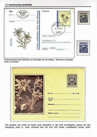 EDELWEISS - KÖNIGIN DER ALPENBLUMEN – Blatt 22