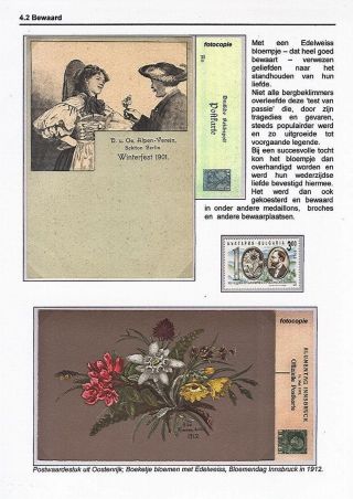 EDELWEISS - KÖNIGIN DER ALPENBLUMEN – Blatt 30