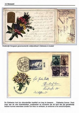 EDELWEISS - THE QUEEN OF ALPINE FLOWERS – sheet 31