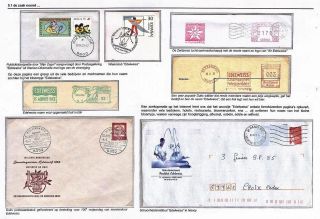 EDELWEISS - THE QUEEN OF ALPINE FLOWERS – sheet 48