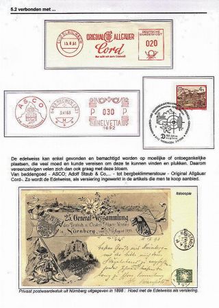 EDELWEISS - THE QUEEN OF ALPINE FLOWERS – sheet 51