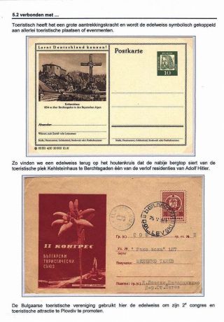 EDELWEISS - THE QUEEN OF ALPINE FLOWERS – sheet 57