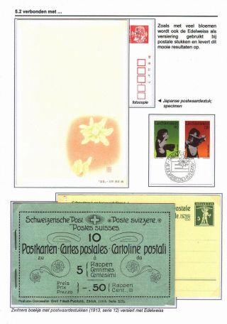 EDELWEISS - THE QUEEN OF ALPINE FLOWERS – sheet 60