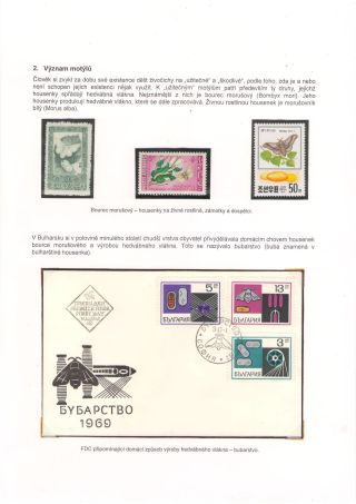 BUTTERFLIES KNOWN AND UNKNOWN – sheet 2