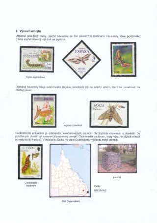 BUTTERFLIES KNOWN AND UNKNOWN – sheet 4