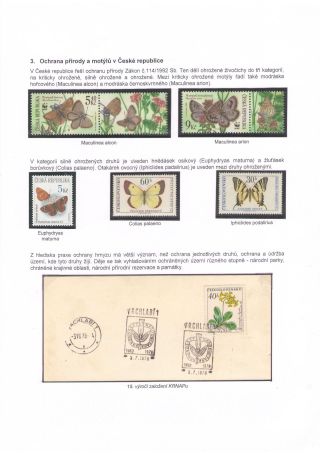 BUTTERFLIES KNOWN AND UNKNOWN – sheet 10