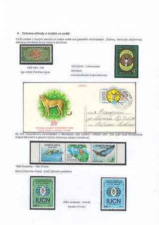 SCHMETERLINGE, BEKANNT UND UNBEKANNT – Blatt 21
