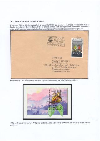 SCHMETERLINGE, BEKANNT UND UNBEKANNT – Blatt 30