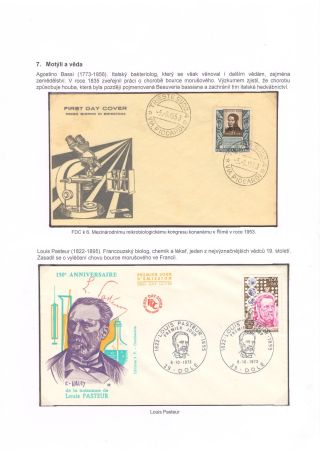 SCHMETERLINGE, BEKANNT UND UNBEKANNT – Blatt 39