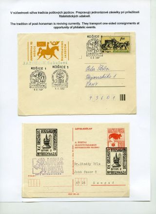 KŮŇ V POŠTOVNICTVÍ – list 31