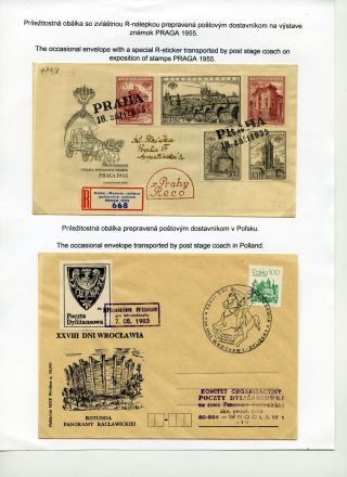 KŮŇ V POŠTOVNICTVÍ – list 80