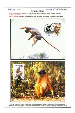 SAVCI SVĚTA – list 6