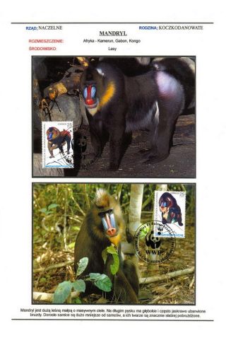 SAVCI SVĚTA – list 8