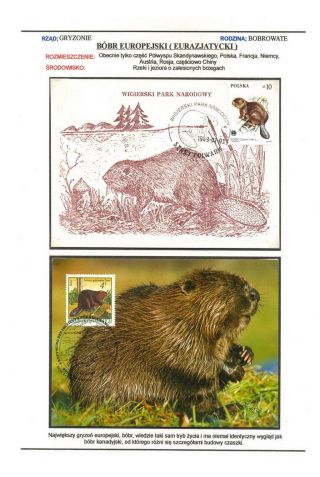 SAVCI SVĚTA – list 51