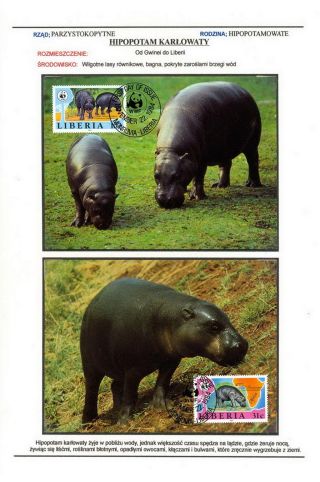SAVCI SVĚTA – list 52
