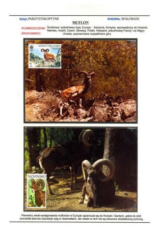 SAVCI SVĚTA – list 64