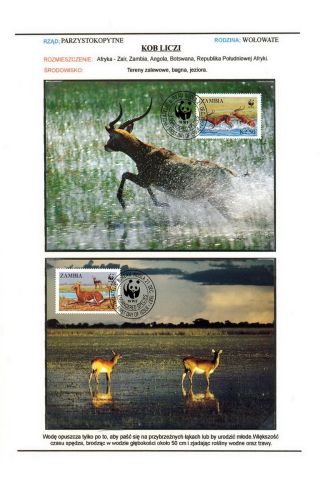 SAVCI SVĚTA – list 67