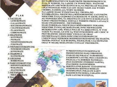 MAMMALS OF WORLD