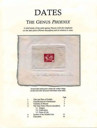 DATLOVÁ PALMA - ROD PHOENIX – list 1