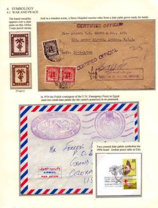 DATLOVÁ PALMA - ROD PHOENIX – list 12