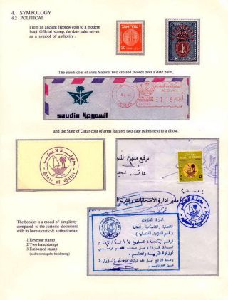 DATLOVÁ PALMA - ROD PHOENIX – list 13