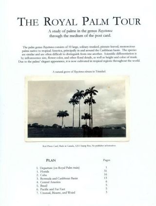 THE ROYAL PALM TOUR – sheet 1
