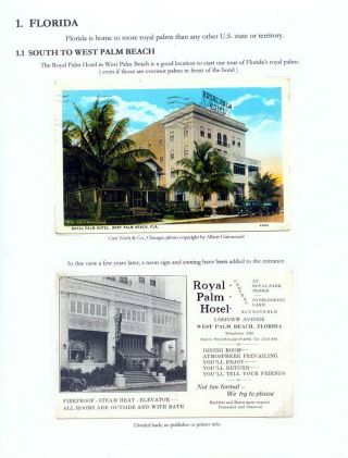 THE ROYAL PALM TOUR – sheet 3