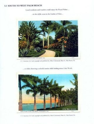 THE ROYAL PALM TOUR – sheet 6