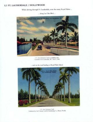 THE ROYAL PALM TOUR – sheet 7