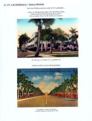THE ROYAL PALM TOUR – sheet 8