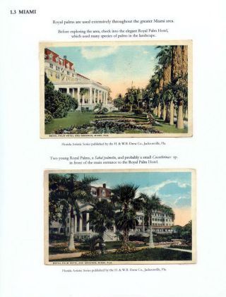 THE ROYAL PALM TOUR – sheet 9