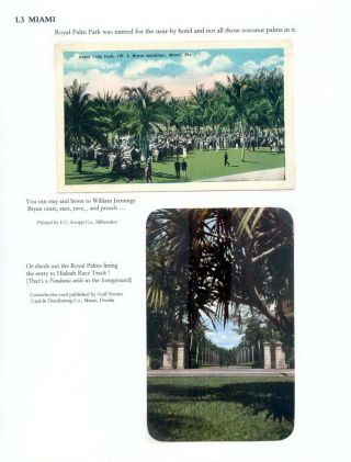 THE ROYAL PALM TOUR – sheet 10