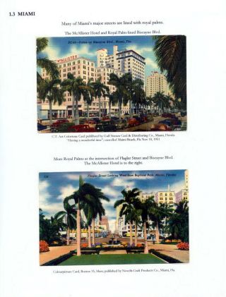 THE ROYAL PALM TOUR – sheet 12