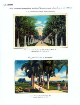 THE ROYAL PALM TOUR – sheet 14