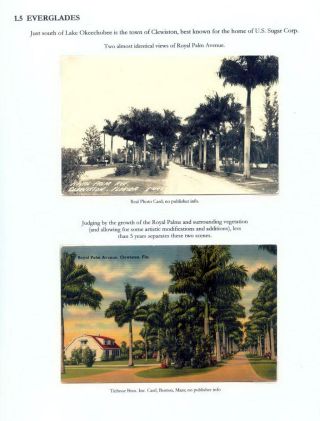 THE ROYAL PALM TOUR – sheet 17