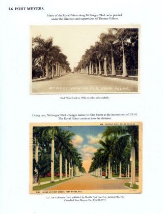 THE ROYAL PALM TOUR – sheet 21