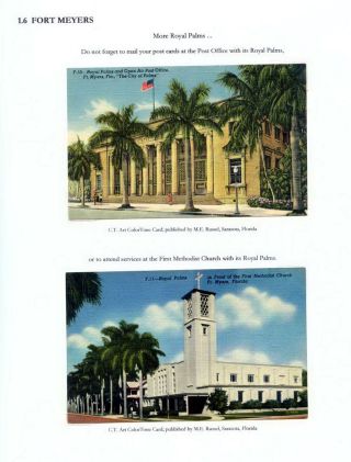 THE ROYAL PALM TOUR – sheet 22