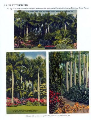 THE ROYAL PALM TOUR – sheet 28