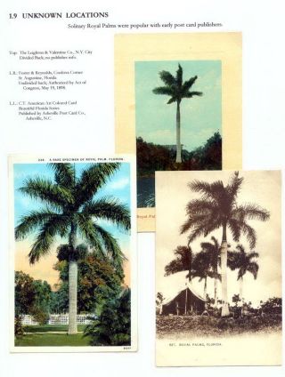 THE ROYAL PALM TOUR – sheet 29